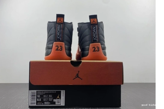  12 FD9101-081 Brilliant  FD9101-081 Retro Jordan Orange 0519